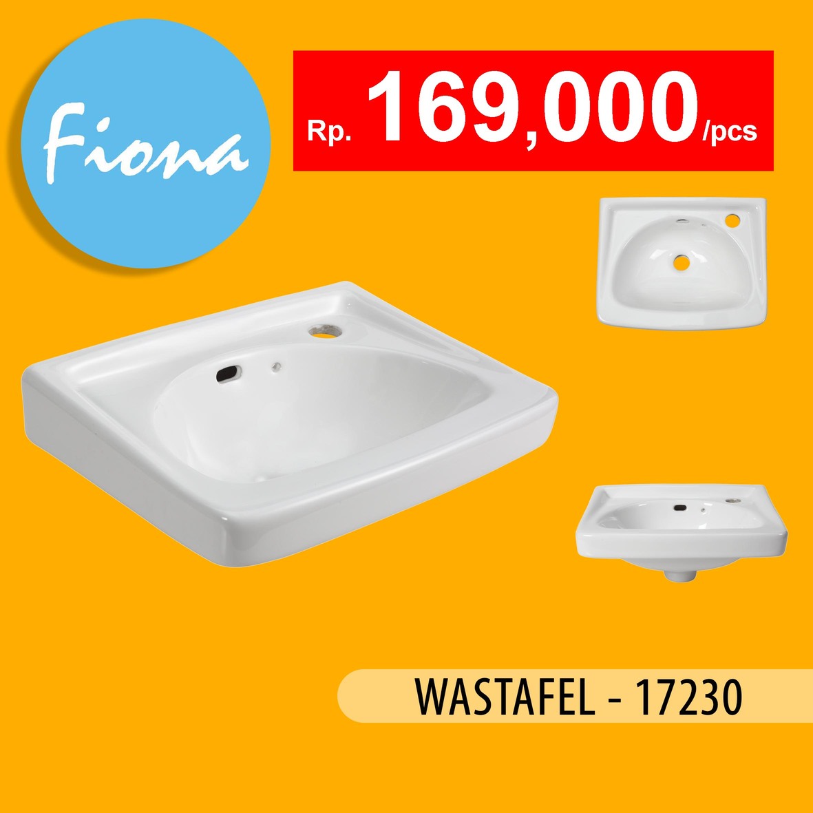 FIONA 17230